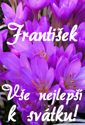 prani k svatku frantisek 693x1024