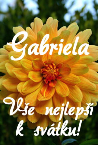 prani k svatku gabriela obrazky kvetin 6 693x1024