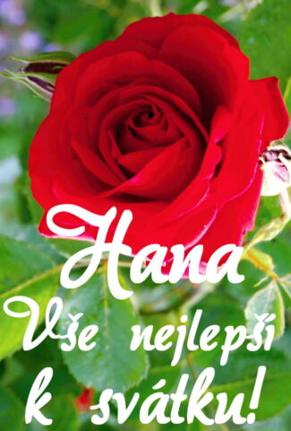 prani k svatku hana 693x1024