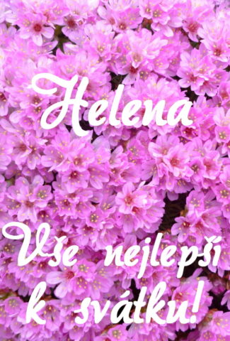 prani k svatku helena 693x1024