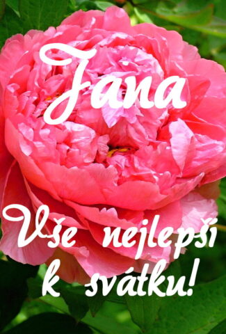 prani k svatku jana 693x1024