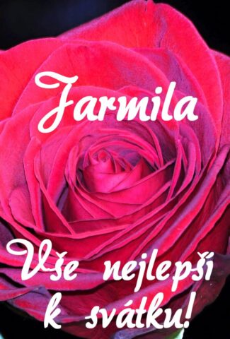 prani k svatku jarmila 693x1024