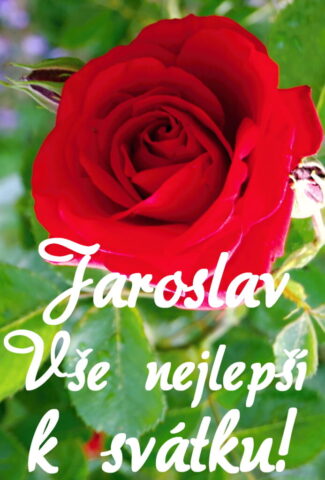 prani k svatku jaroslava 693x1024