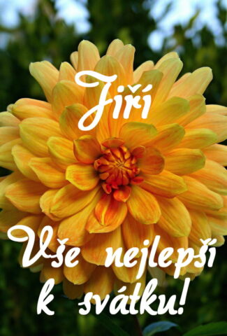 prani k svatku jiri 693x1024