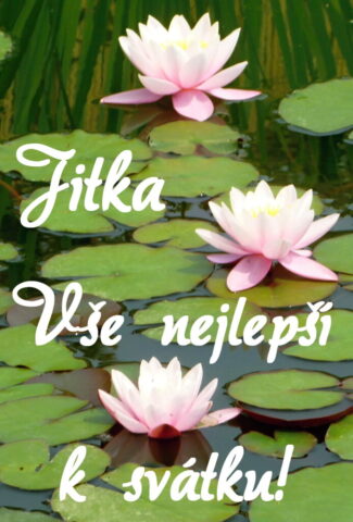 prani k svatku jitka 693x1024