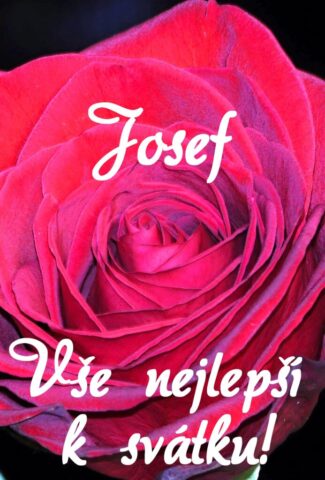prani k svatku josef 693x1024