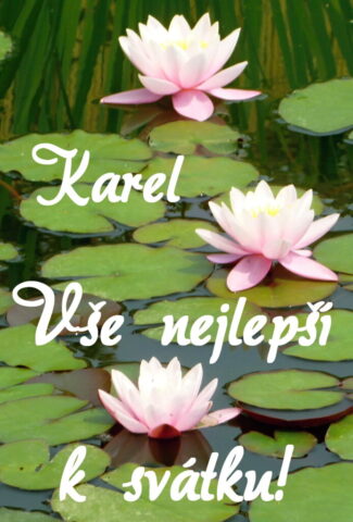 prani k svatku karel 693x1024