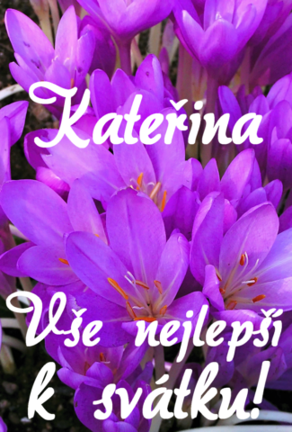 prani k svatku katerina 693x1024