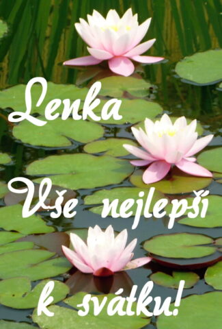 prani k svatku lenka 693x1024