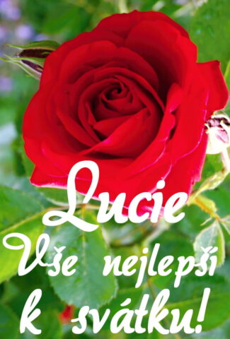 prani k svatku lucie 693x1024