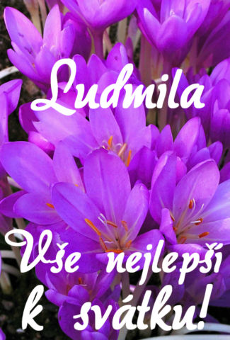 prani k svatku ludmila 693x1024