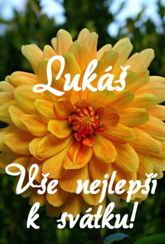 prani k svatku lukas 693x1024