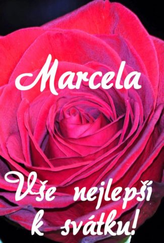 prani k svatku marcela 693x1024