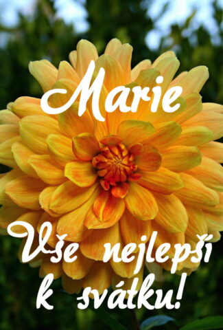 prani k svatku marie 693x1024