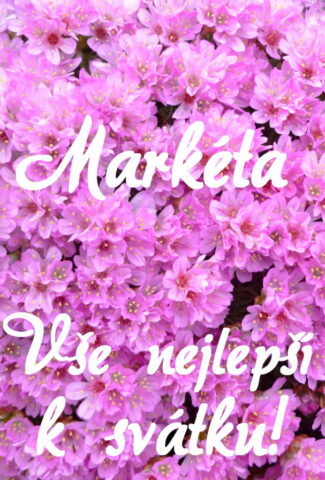 prani k svatku marketa 693x1024