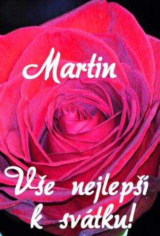 prani k svatku martin 693x1024