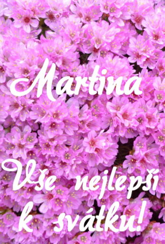 prani k svatku martina 693x1024