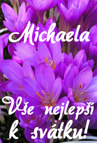 prani k svatku michaela 693x1024