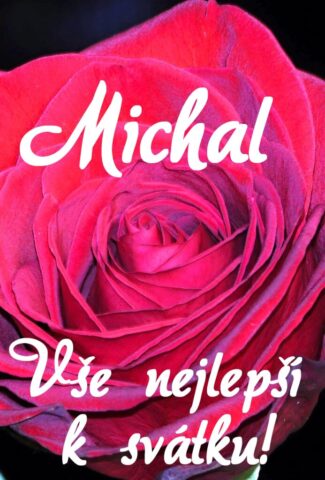 prani k svatku michal 693x1024