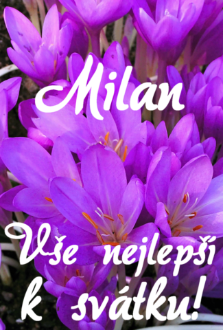 prani k svatku milan 693x1024