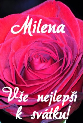 prani k svatku milena obrazky kvetin 11 693x1024