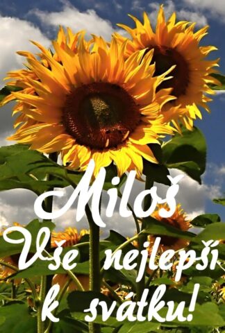 prani k svatku milos obrazky 692x1024
