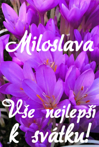 prani k svatku miloslava obrazky kvetin 22 693x1024