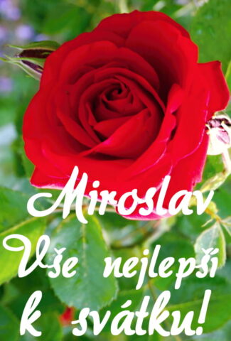 prani k svatku miroslav 693x1024