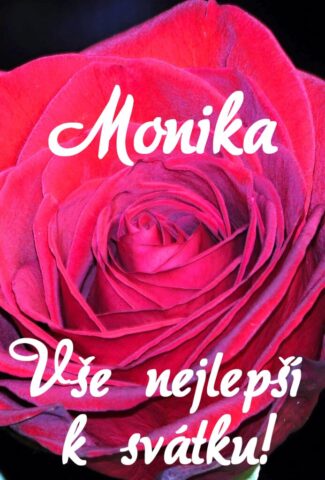 prani k svatku monika 693x1024