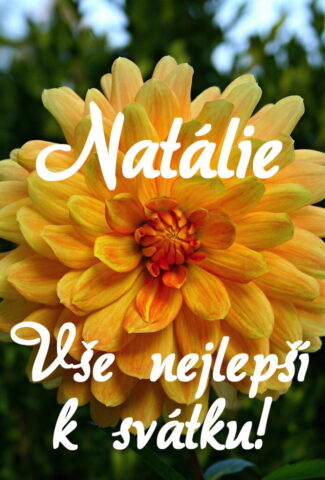 prani k svatku natalie obrazky kvetin 4 693x1024