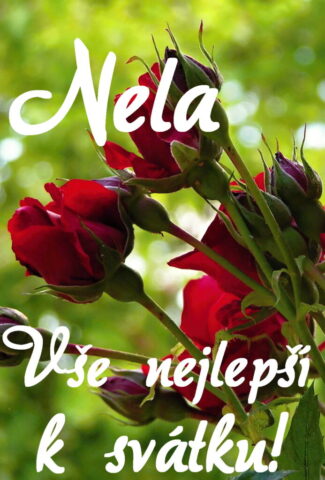 prani k svatku nela obrazky kvetin 10 693x1024