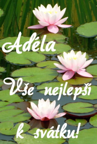 prani k svatku obrazky adela 693x1024