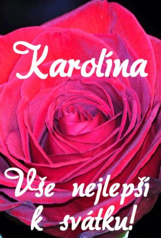 prani k svatku obrazky karolina 693x1024