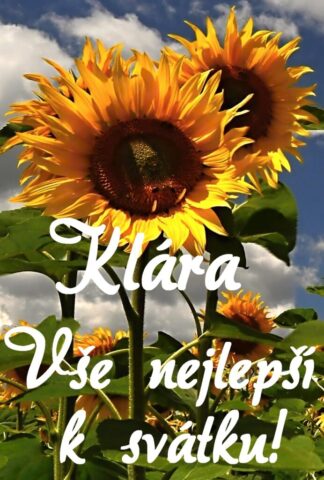 prani k svatku obrazky klara 692x1024