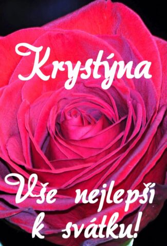 prani k svatku obrazky krystina 693x1024