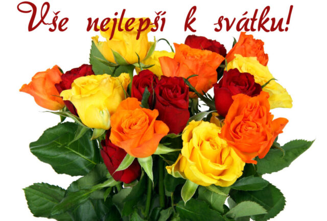 prani k svatku obrazky kvetin zdarma v 04 1024x693