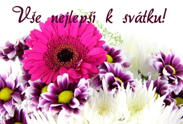 prani k svatku obrazky kvetin zdarma v 06 1024x693