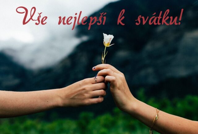 prani k svatku obrazky kvetin zdarma v 07 1024x693