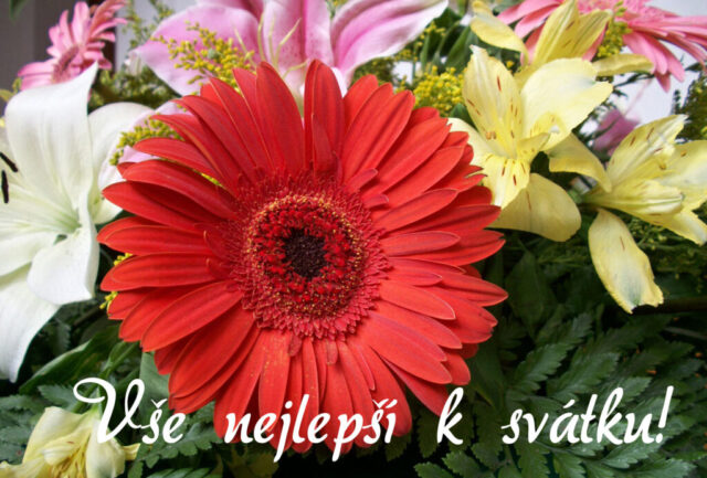prani k svatku obrazky kvetin zdarma v 10 1024x693