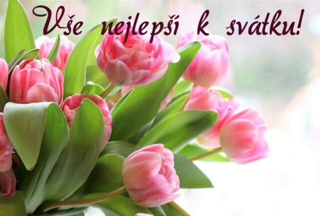 prani k svatku obrazky kvetin zdarma v 100 1024x692