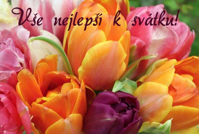 prani k svatku obrazky kvetin zdarma v 101 1024x693