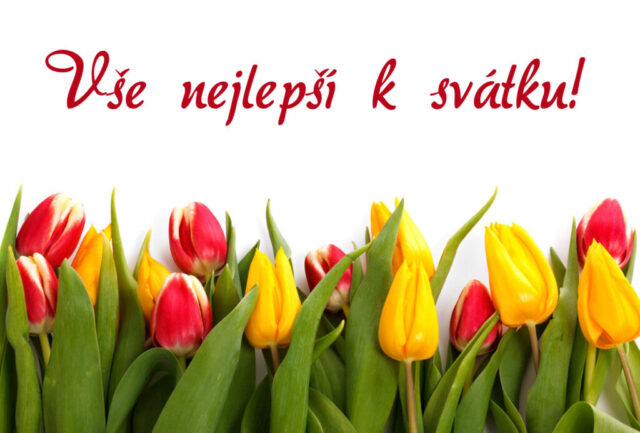 prani k svatku obrazky kvetin zdarma v 104 1024x693