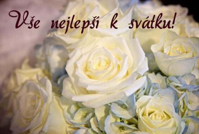 prani k svatku obrazky kvetin zdarma v 106 1024x693