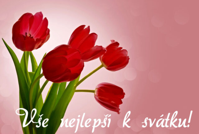 prani k svatku obrazky kvetin zdarma v 13 1024x693