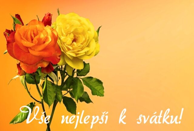 prani k svatku obrazky kvetin zdarma v 25 1024x693