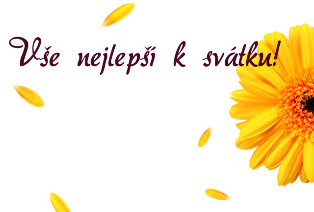 prani k svatku obrazky kvetin zdarma v 27 1024x692