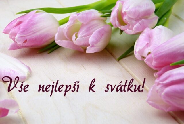 prani k svatku obrazky kvetin zdarma v 29 1024x693