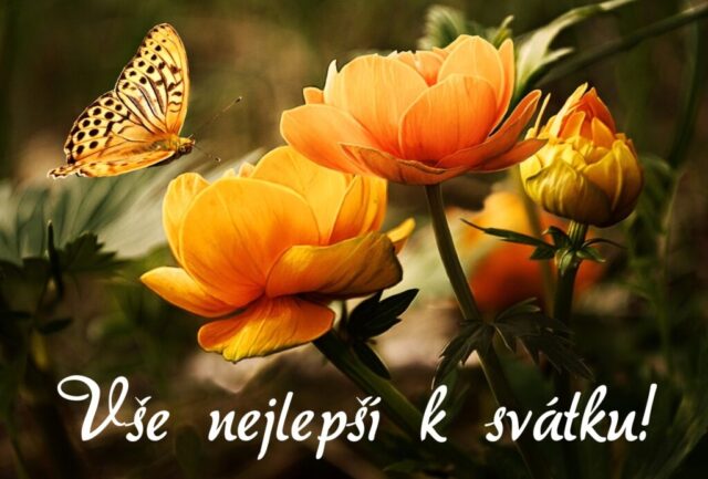 prani k svatku obrazky kvetin zdarma v 39 1024x693