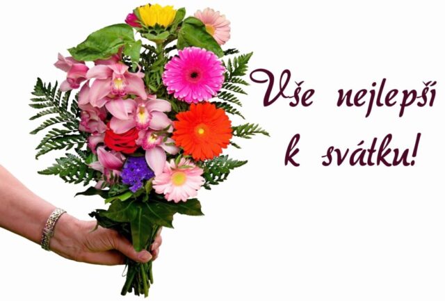 prani k svatku obrazky kvetin zdarma v 43 1024x693