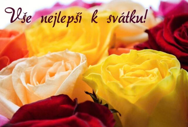 prani k svatku obrazky kvetin zdarma v 44 1024x693